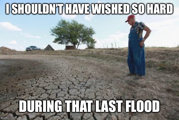 Drought Farmer | I SHOULDN’T HAVE WISHED SO HARD DURING THAT LAST FLOOD | image tagged in drought farmer | made w/ Imgflip meme maker