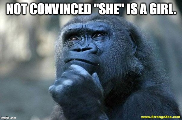 Deep Thoughts | NOT CONVINCED "SHE" IS A GIRL. | image tagged in deep thoughts | made w/ Imgflip meme maker