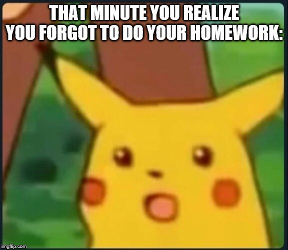 Surprised Pikachu | THAT MINUTE YOU REALIZE YOU FORGOT TO DO YOUR HOMEWORK: | image tagged in surprised pikachu | made w/ Imgflip meme maker