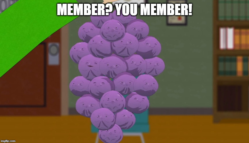 member berries | MEMBER? YOU MEMBER! | image tagged in member berries | made w/ Imgflip meme maker