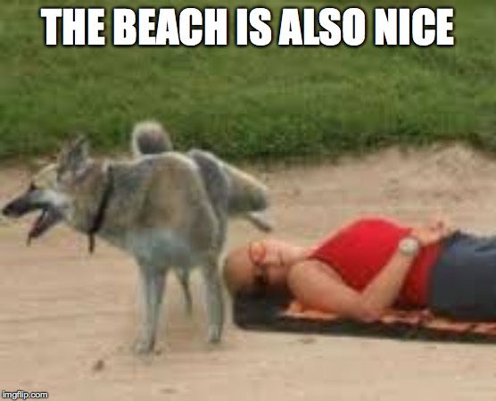 THE BEACH IS ALSO NICE | made w/ Imgflip meme maker