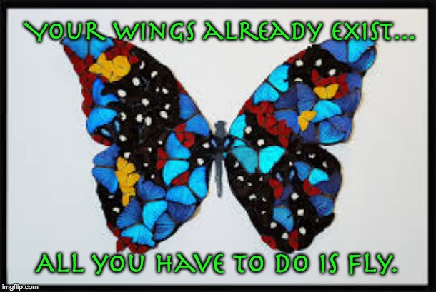 Your wings already exist... All you have to do is Fly. | image tagged in butterfly,flight,free | made w/ Imgflip meme maker