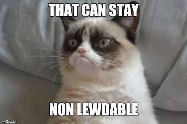 Grumpy cat | THAT CAN STAY NON LEWDABLE | image tagged in grumpy cat | made w/ Imgflip meme maker