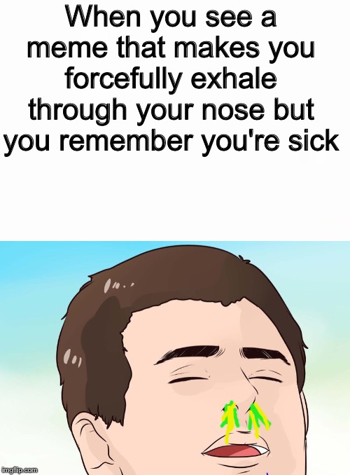 It's true tho... | When you see a meme that makes you forcefully exhale through your nose but you remember you're sick | image tagged in exhale,nose,sick | made w/ Imgflip meme maker