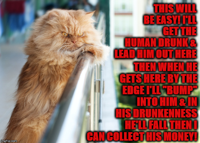 MURDER PLOT | THIS WILL BE EASY! I'LL GET THE HUMAN DRUNK & LEAD HIM OUT HERE; THEN WHEN HE GETS HERE BY THE EDGE I'LL "BUMP" INTO HIM & IN HIS DRUNKENNESS HE'LL FALL THEN I CAN COLLECT HIS MONEY! | image tagged in murder plot | made w/ Imgflip meme maker