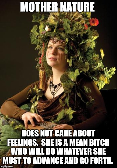 Mother Nature | MOTHER NATURE DOES NOT CARE ABOUT FEELINGS.  SHE IS A MEAN B**CH WHO WILL DO WHATEVER SHE MUST TO ADVANCE AND GO FORTH. | image tagged in mother nature | made w/ Imgflip meme maker