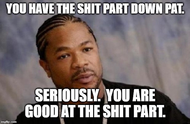 Serious Xzibit Meme | YOU HAVE THE SHIT PART DOWN PAT. SERIOUSLY.  YOU ARE GOOD AT THE SHIT PART. | image tagged in memes,serious xzibit | made w/ Imgflip meme maker