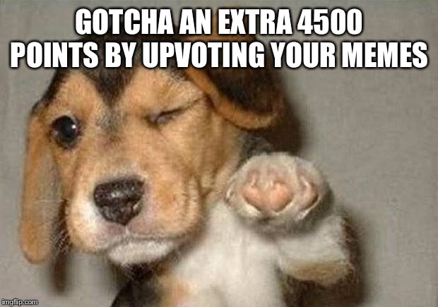 Winking Dog | GOTCHA AN EXTRA 4500 POINTS BY UPVOTING YOUR MEMES | image tagged in winking dog | made w/ Imgflip meme maker