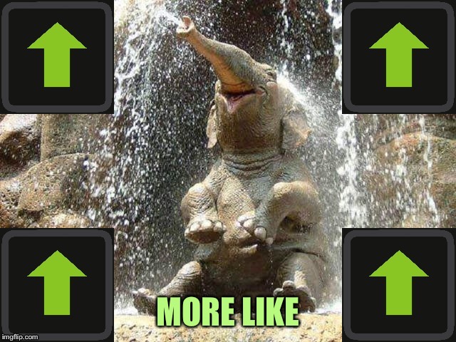Upvote Elephant | MORE LIKE | image tagged in upvote elephant | made w/ Imgflip meme maker