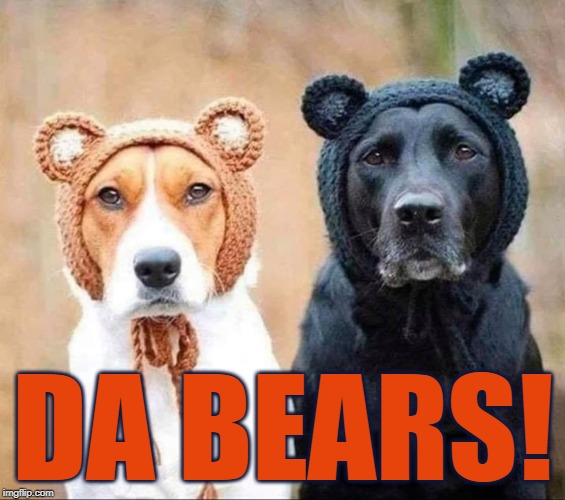 Smart Dogs | DA BEARS! | image tagged in da bears,go bears,chicago bears,bears,dogs in costumes,dog costumes | made w/ Imgflip meme maker