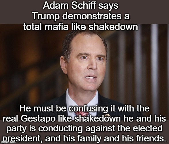Adam Schiffless | Adam Schiff says Trump demonstrates a total mafia like shakedown; He must be confusing it with the real Gestapo like shakedown he and his party is conducting against the elected president, and his family and his friends. | image tagged in adam schiff,donald trump,ukraine,imoeachment | made w/ Imgflip meme maker
