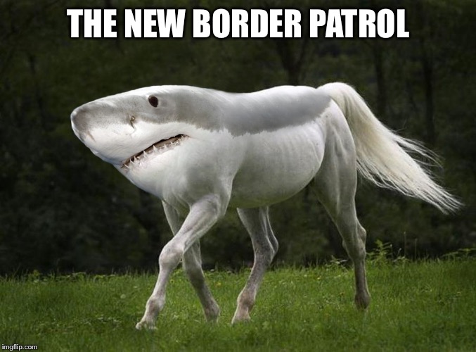land-shark | THE NEW BORDER PATROL | image tagged in land-shark | made w/ Imgflip meme maker