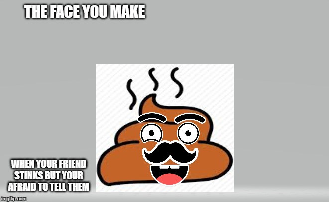 Majestic Turd | THE FACE YOU MAKE; WHEN YOUR FRIEND STINKS BUT YOUR AFRAID TO TELL THEM | image tagged in majestic turd | made w/ Imgflip meme maker