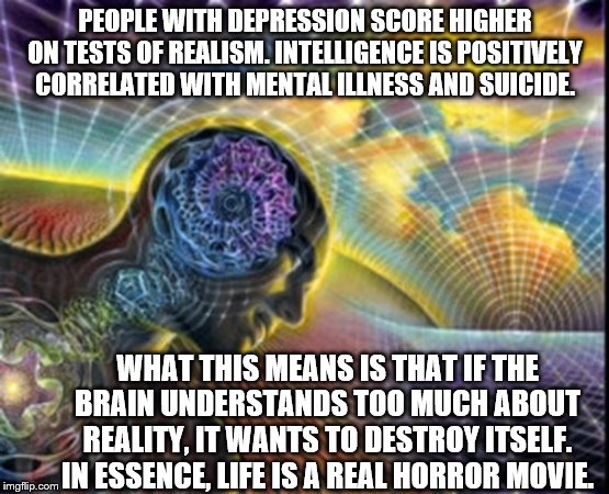 Expanding Reality | PEOPLE WITH DEPRESSION SCORE HIGHER ON TESTS OF REALISM. INTELLIGENCE IS POSITIVELY CORRELATED WITH MENTAL ILLNESS AND SUICIDE. WHAT THIS MEANS IS THAT IF THE BRAIN UNDERSTANDS TOO MUCH ABOUT REALITY, IT WANTS TO DESTROY ITSELF. IN ESSENCE, LIFE IS A REAL HORROR MOVIE. | image tagged in expanding reality | made w/ Imgflip meme maker