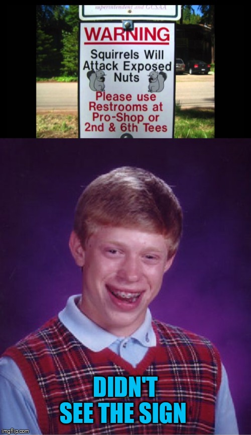 Family jewels gone | DIDN'T SEE THE SIGN | image tagged in memes,bad luck brian,squirrel,44colt,funny signs,family jewels | made w/ Imgflip meme maker