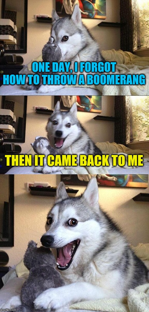 Bad Pun Dog Meme | ONE DAY, I FORGOT HOW TO THROW A BOOMERANG; THEN IT CAME BACK TO ME | image tagged in memes,bad pun dog | made w/ Imgflip meme maker