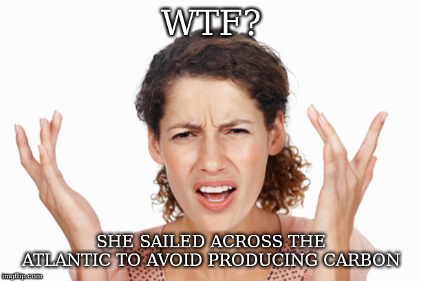 Indignant | WTF? SHE SAILED ACROSS THE ATLANTIC TO AVOID PRODUCING CARBON | image tagged in indignant | made w/ Imgflip meme maker
