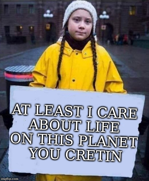 to all the haters | AT LEAST I CARE 
ABOUT LIFE 
ON THIS PLANET 
YOU CRETIN | image tagged in greta | made w/ Imgflip meme maker