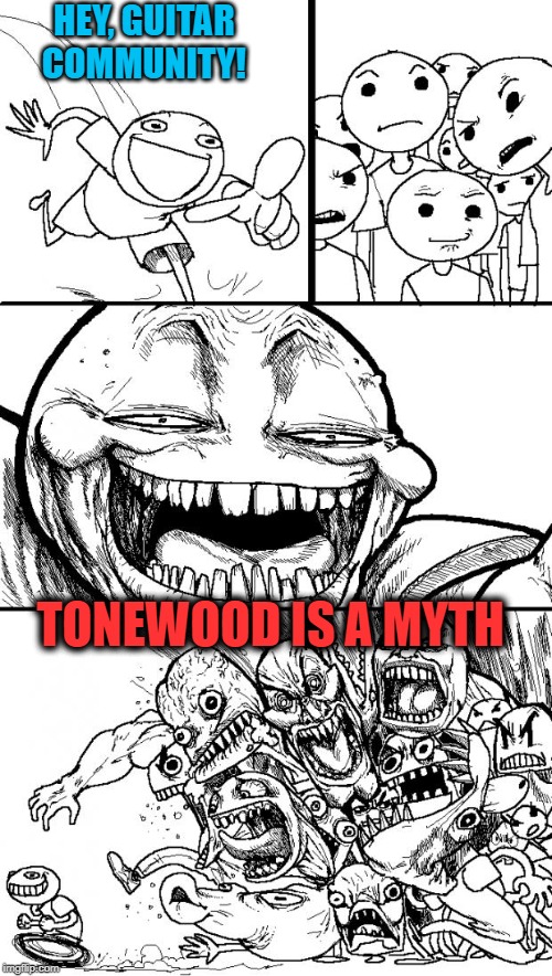 Hey Internet | HEY, GUITAR COMMUNITY! TONEWOOD IS A MYTH | image tagged in memes,hey internet | made w/ Imgflip meme maker