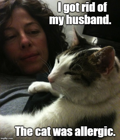 Cat allergy | I got rid of my husband. The cat was allergic. | image tagged in cat | made w/ Imgflip meme maker