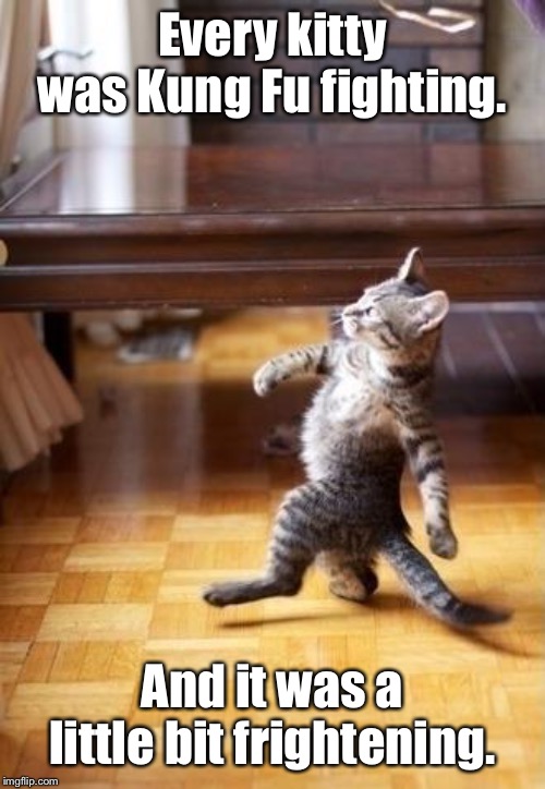 Cool Cat Stroll Meme | Every kitty was Kung Fu fighting. And it was a little bit frightening. | image tagged in memes,cool cat stroll | made w/ Imgflip meme maker