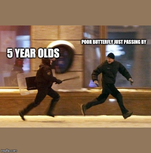 Police Chasing Guy | POOR BUTTERFLY JUST PASSING BY; 5 YEAR OLDS | image tagged in police chasing guy | made w/ Imgflip meme maker