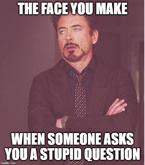 Face You Make Robert Downey Jr | THE FACE YOU MAKE; WHEN SOMEONE ASKS YOU A STUPID QUESTION | image tagged in memes,face you make robert downey jr | made w/ Imgflip meme maker
