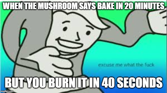 WHEN THE MUSHROOM SAYS BAKE IN 20 MINUTES; BUT YOU BURN IT IN 40 SECONDS | image tagged in excuse me wtf | made w/ Imgflip meme maker