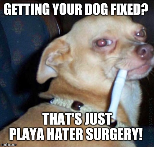 Snoop Dog | GETTING YOUR DOG FIXED? THAT'S JUST PLAYA HATER SURGERY! | image tagged in snoop dog | made w/ Imgflip meme maker