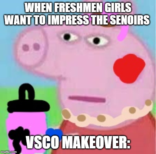 Vsco peppa | WHEN FRESHMEN GIRLS WANT TO IMPRESS THE SENOIRS; VSCO MAKEOVER: | image tagged in vsco peppa,peppa pig,memes | made w/ Imgflip meme maker
