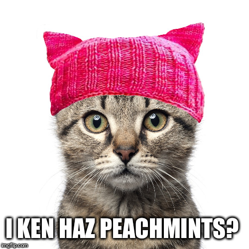 I KEN HAZ PEACHMINTS? | image tagged in impeach | made w/ Imgflip meme maker