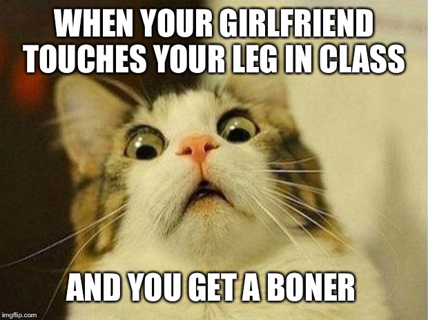 Scared Cat | WHEN YOUR GIRLFRIEND TOUCHES YOUR LEG IN CLASS; AND YOU GET A BONER | image tagged in memes,scared cat | made w/ Imgflip meme maker