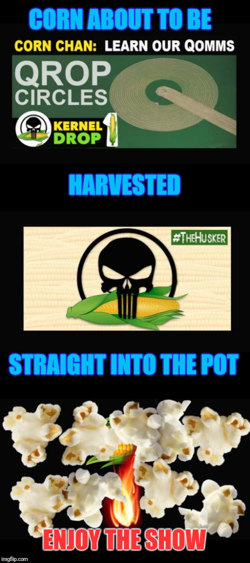 Ready for Harvesting?
Straight into the pot! | CORN ABOUT TO BE; HARVESTED; STRAIGHT INTO THE POT; ENJOY THE SHOW | image tagged in corn,farm,harvesting,qanon | made w/ Imgflip meme maker
