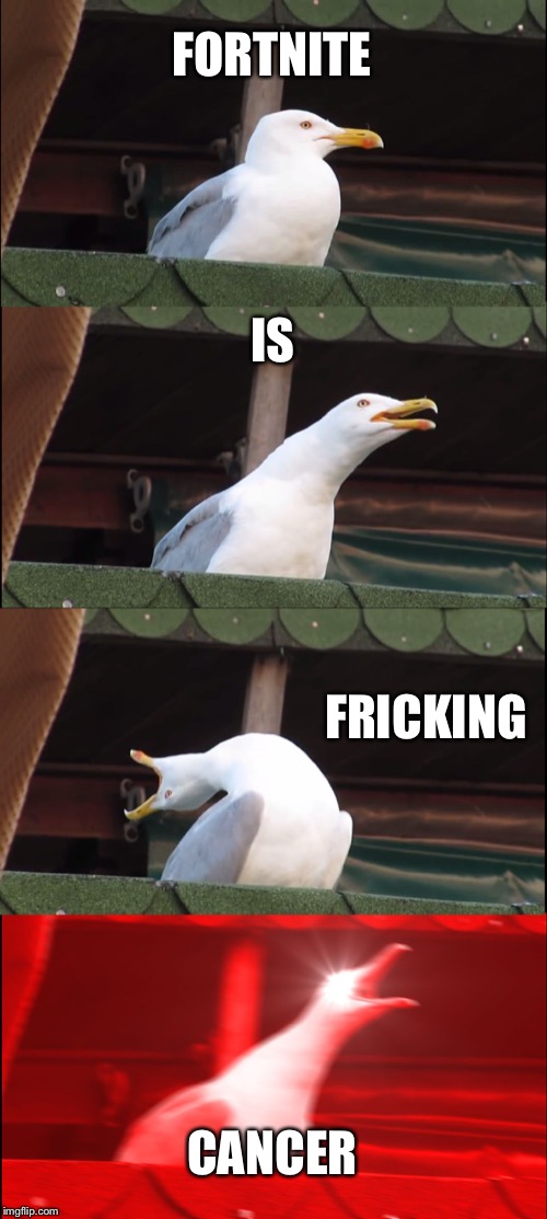 Inhaling Seagull | FORTNITE; IS; FRICKING; CANCER | image tagged in memes,inhaling seagull | made w/ Imgflip meme maker
