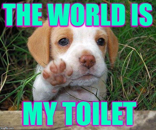 Watch where you step  ( : | THE WORLD IS; MY TOILET | image tagged in dog puppy bye,memes,gotta go | made w/ Imgflip meme maker