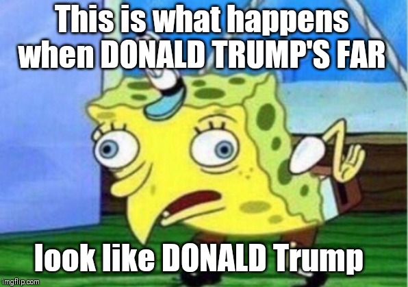 Mocking Spongebob | This is what happens when DONALD TRUMP'S FAR; look like DONALD Trump | image tagged in memes,mocking spongebob | made w/ Imgflip meme maker
