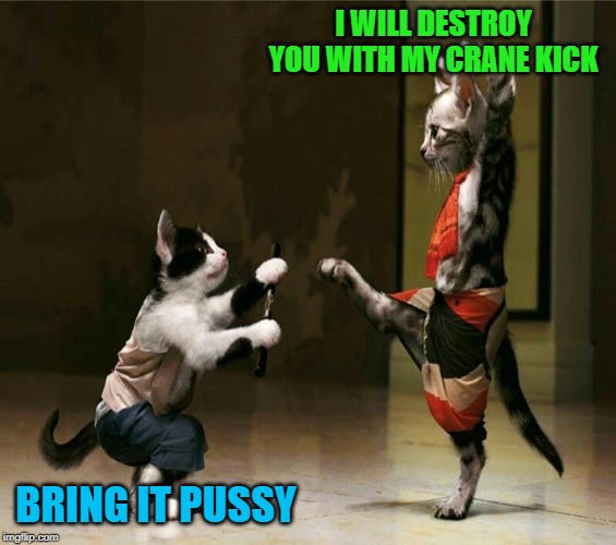 I WILL DESTROY YOU WITH MY CRANE KICK BRING IT PUSSY | made w/ Imgflip meme maker