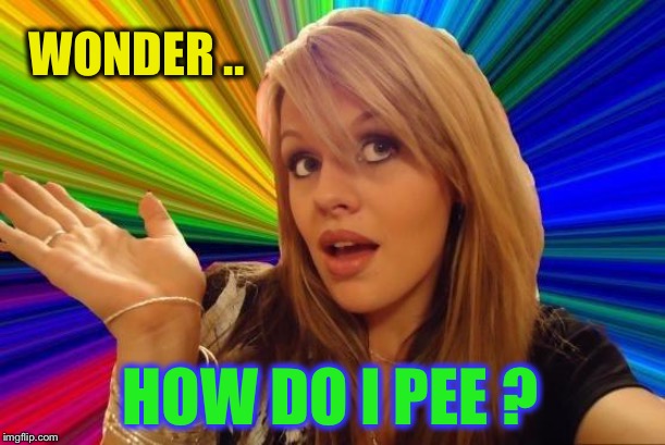 Dumb Blonde Meme | WONDER .. HOW DO I PEE ? | image tagged in memes,dumb blonde | made w/ Imgflip meme maker