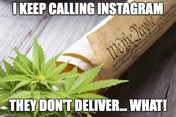 Constitution-Cannabis | I KEEP CALLING INSTAGRAM; THEY DON'T DELIVER... WHAT! | image tagged in constitution-cannabis | made w/ Imgflip meme maker