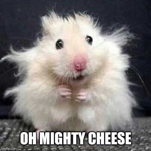 Stressed Mouse | OH MIGHTY CHEESE | image tagged in stressed mouse | made w/ Imgflip meme maker