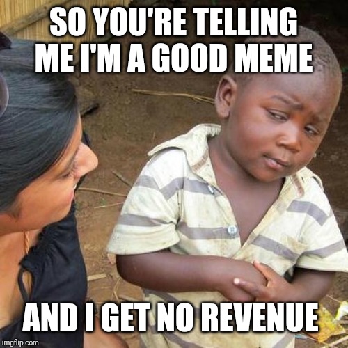 Third World Skeptical Kid Meme |  SO YOU'RE TELLING ME I'M A GOOD MEME; AND I GET NO REVENUE | image tagged in memes,third world skeptical kid | made w/ Imgflip meme maker