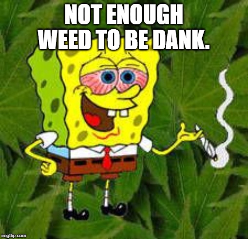 Weed | NOT ENOUGH WEED TO BE DANK. | image tagged in weed | made w/ Imgflip meme maker
