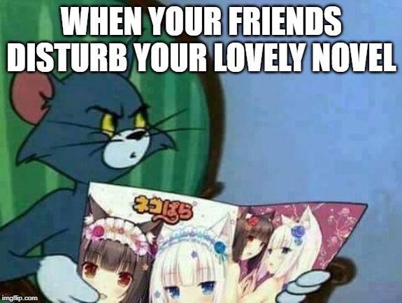 Disturbed Anime magazine Tom | WHEN YOUR FRIENDS DISTURB YOUR LOVELY NOVEL | image tagged in disturbed anime magazine tom | made w/ Imgflip meme maker