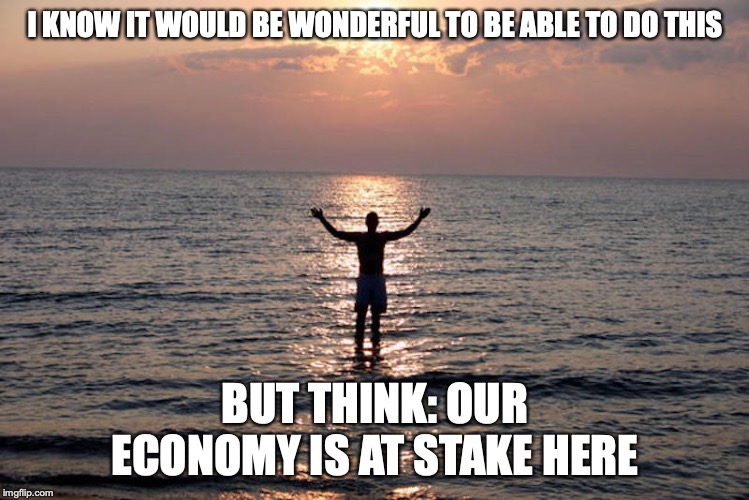 Walk on Water | I KNOW IT WOULD BE WONDERFUL TO BE ABLE TO DO THIS; BUT THINK: OUR ECONOMY IS AT STAKE HERE | image tagged in water,memes,jesus laws | made w/ Imgflip meme maker