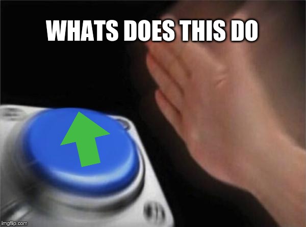 Blank Nut Button | WHATS DOES THIS DO | image tagged in memes,blank nut button | made w/ Imgflip meme maker