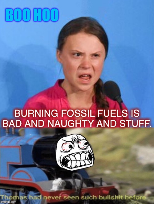 On this issue steam engines are ‘TENDER’ ;-) | BOO HOO; BURNING FOSSIL FUELS IS BAD AND NAUGHTY AND STUFF. | image tagged in greta thunberg,thomas the dank engine,enviro mental,environmentalists,boo hoo | made w/ Imgflip meme maker