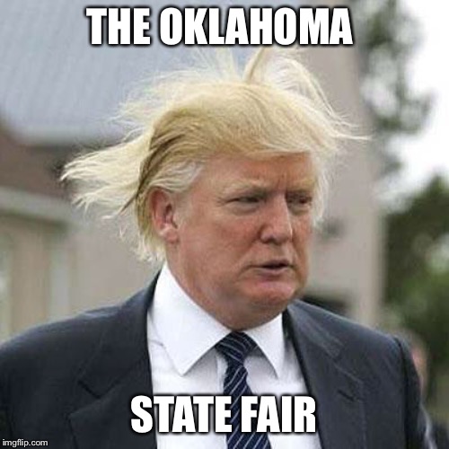 Donald Trump | THE OKLAHOMA; STATE FAIR | image tagged in donald trump | made w/ Imgflip meme maker