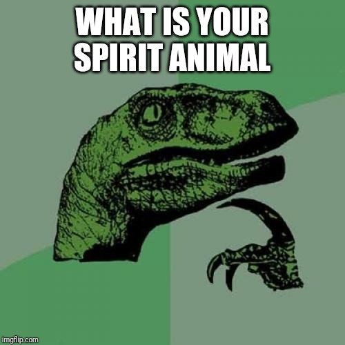 Philosoraptor Meme | WHAT IS YOUR SPIRIT ANIMAL | image tagged in memes,philosoraptor | made w/ Imgflip meme maker