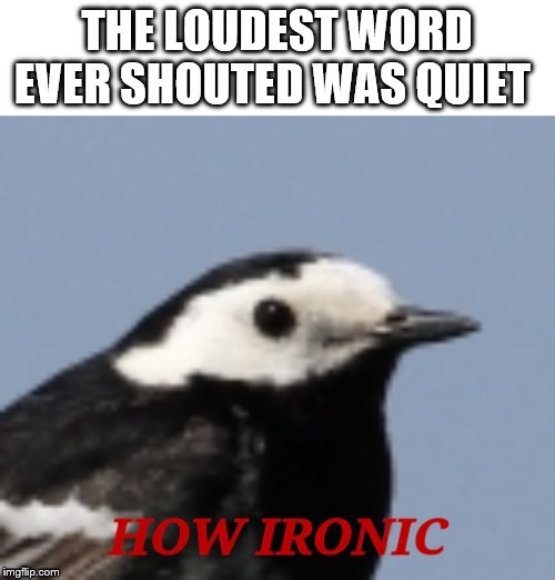 How Ironic | THE LOUDEST WORD EVER SHOUTED WAS QUIET | image tagged in how ironic | made w/ Imgflip meme maker