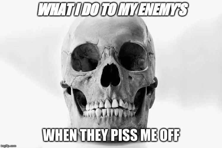 WHAT I DO TO MY ENEMY'S; WHEN THEY PISS ME OFF | image tagged in funny memes | made w/ Imgflip meme maker